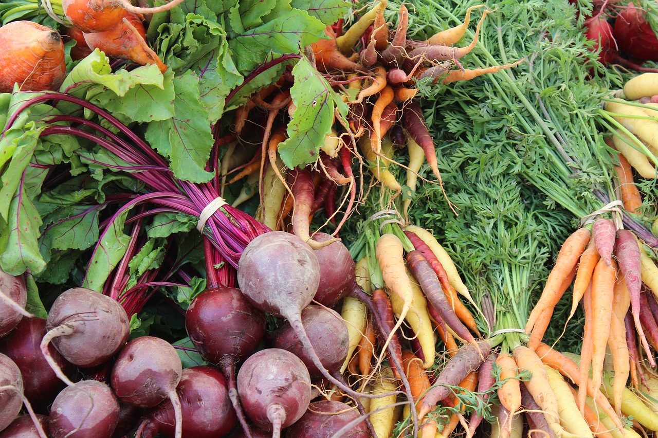 Wright Way Farm photo 15